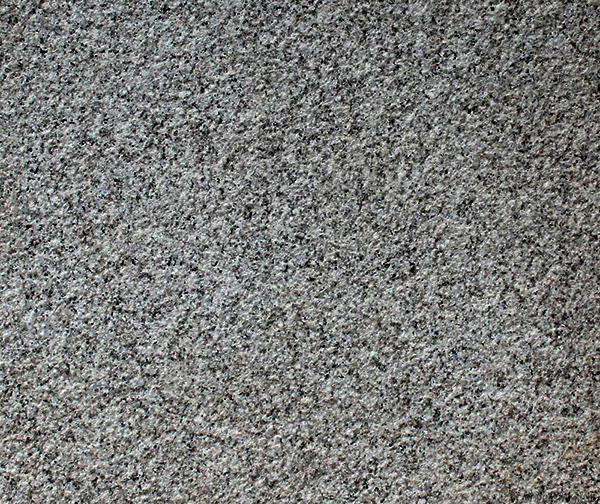 ����3#����֦��