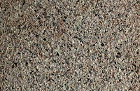 �ѻ��t��֦